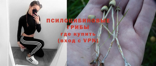 бошки Красноперекопск