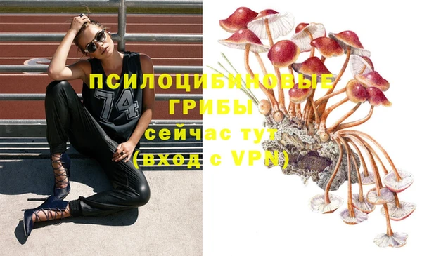 бошки Красноперекопск