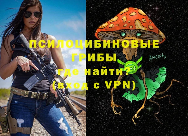 хмурый Краснослободск